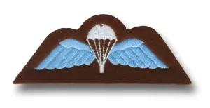 CLOTH PARA WINGS
