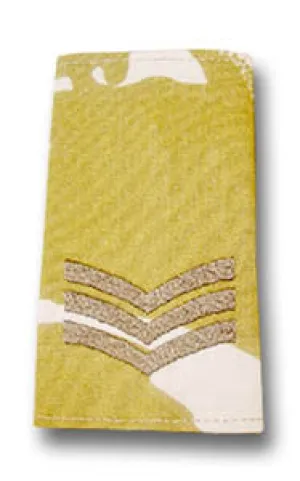 DESERT EPAULETTE SLIDES