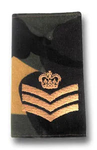 DPM SOLDIER 95 EPAULETTE GOLD