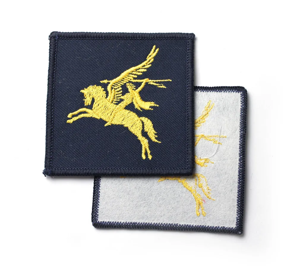 PARA PEGASUS PATCHES (PAIR)