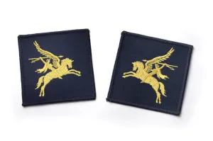 PARA PEGASUS PATCHES (PAIR)