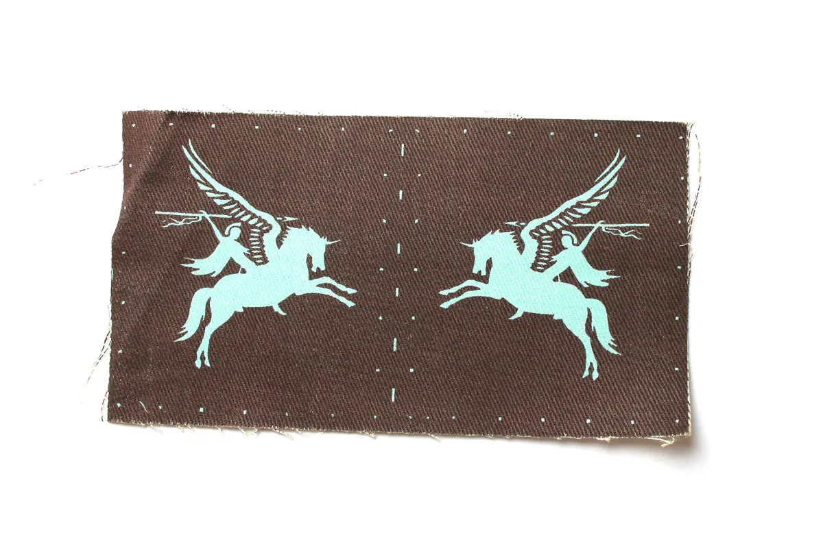 PARA PEGASUS PATCHES (PAIR)