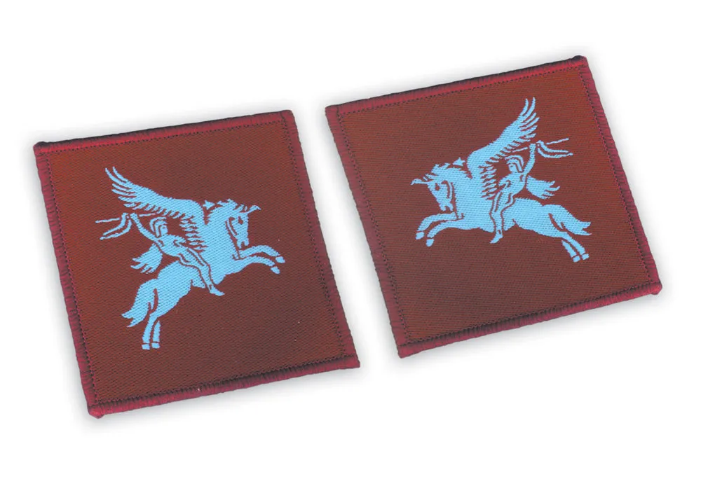 PARA PEGASUS PATCHES (PAIR)