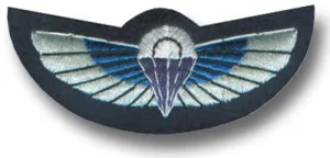 SAS CLOTH WINGS